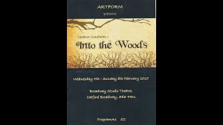 An afternoon with Artform  Into the Woods     HD 720p