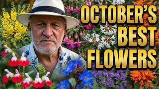 Top Five Flowering Plants for October