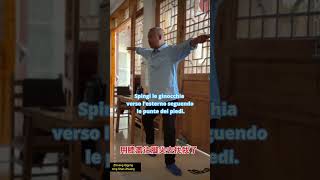 Zhineng Qigong Sezione sette di Xing Shen Zhuang