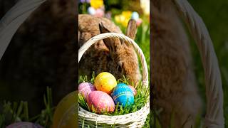 Happy Easter 🐣 #easter #eastereggs #rabbit