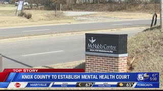 Knox County to establish mental health court