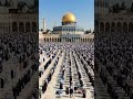 Alaqsa may eid dul azha ki namaj❤️💚💚💚#shortsfeed #shorts #islamic #trending #povar ##ytshorts