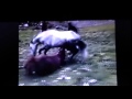 Dangerous Horse Tries To Kill Horse ? - Runaway Horse Tries to Kill Rider ?