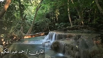 سورة يوسف احمد عبد الحكيم