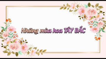 Nồng nàn những mùa hoa Tây Bắc | TransViet