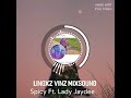 Spicy Ft. Lady Jaydee (Linoxz Vinz mixsound)