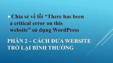 Cách để website trở lại bình thường khi Update plugin bị lỗi "there has been a critical error..."