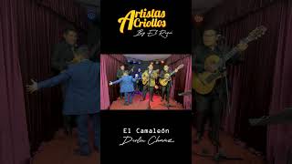 El Camaleón - Artistas Criollos