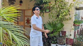 AAJ TU MAAR DIYA SATTA 🔥 🔥 🔥 🔥 🔥 🔥 🔥 / KITE FIGHTING WITH FULL ENJOYMENT 😉 