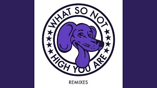 Vignette de la vidéo "What So Not - High You Are"