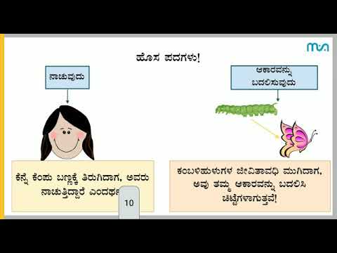 Class 4 EVS | Animal Kingdom (ಪ್ರಾಣಿ ಸಾಮ್ರಾಜ್ಯ)- Part 1| Kannada | Meghshala