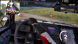 Assetto Corsa Rally UEVR Quest 3 test run 3/4
