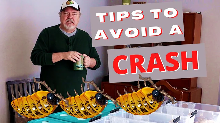 Tips To Avoid An Isopod Crash  -  Is your colony ready to CRASH!!!