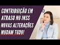 Contribuição em atraso no INSS: você pode estar perdendo dinheiro!