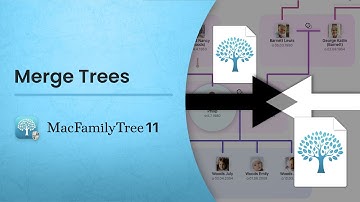 Merge Trees (EN)
