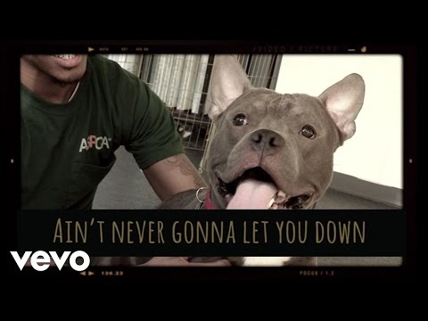 Colbie Caillat (+) Never Gonna Let You Down