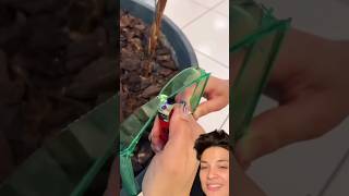 Plastik Bıçaktan Gözlük Yapmayı Deniyorum Knife Gles