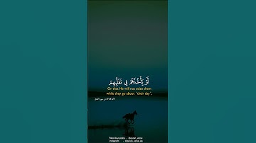قرآن كريم بصوت ماهر المعيقلى | حالات واتس اب دينية