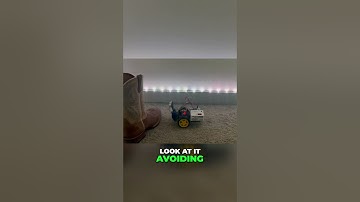 Raspberry Pi Pico Robot Avoids Objects