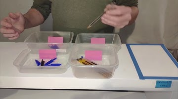 Méthodologie KANBAN (qualité)