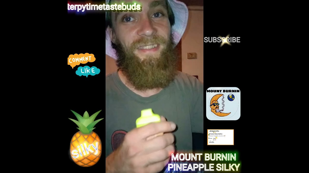 TERPY TIME TASTE BUDS - MOUNT BURNIN - PINEAPPLE SILKY @mountburnin