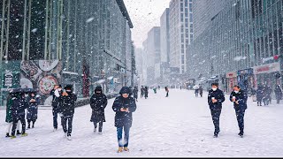 When It Snows Heavily in Seoul?! ⛄ | Traffic Chaos | Snowfall | Walking Tour Korea 4K HDR