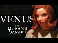 Venus  the queens gambit mmv