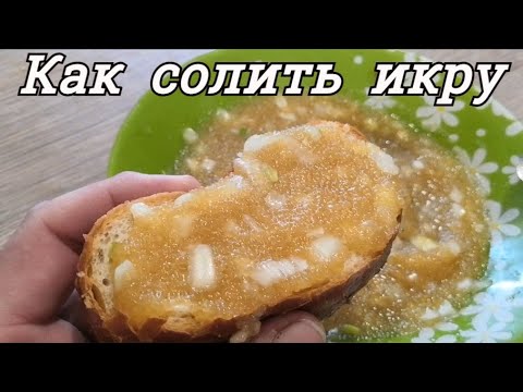 КАК СОЛИТЬ ЩУЧЬЮ ИКРУ: Способ приготовления щучьей икры.