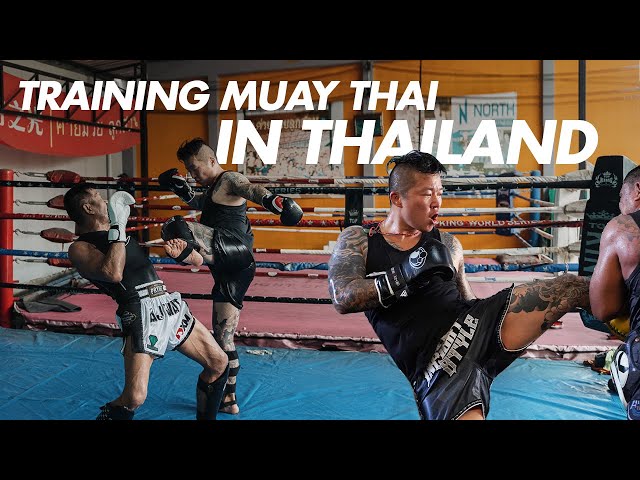 7 Great Muay Thai Gyms in Bangkok - Where to Learn Muay Thai Kickboxing in  Bangkok – Go Guides