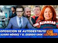 ¡SE AGARRARON A CACEROLAZOS! - OTRO SURUMBO HABLANDO CON GROK 