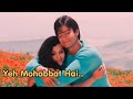 Bechain Mera Yeh Dil Yeh Mohabbat Hai| U.Narayan,A.Yagnik,R.Bhatt,A.Malhotra |Old Series music video