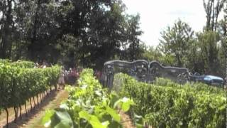 Les technologies de pulvérisation en viticulture