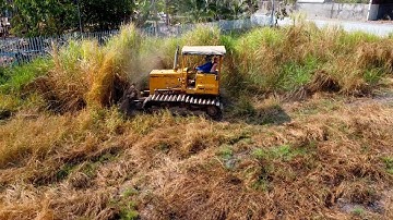 Good Project! Skill Dozer D20P Dozer ClearIng Land And Buried & Forest With Bulldozer