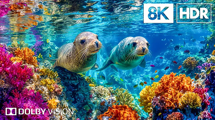 Unseen Ocean Creatures in 8K HDR | Dolby Vision™