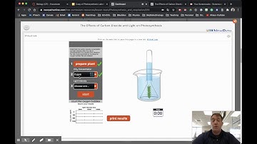 Photosynthesis Virtual Lab  GUIDE