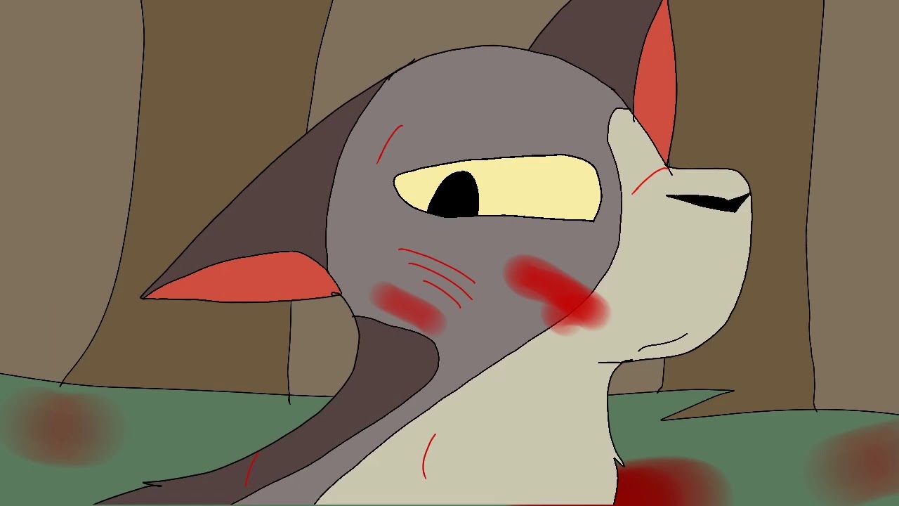 Warrior Cat Deaths Map Parts 93 And 132 YouTube