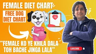 Pregnancy diet chart|| best supplement during pregnancy ||pregnancy care in female dog ||Pregnancy