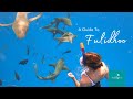 Island Guide: Fulidhoo, Vaavu Atoll