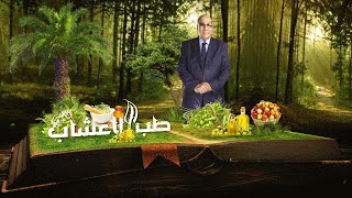 طب الأعشاب | علاج الإدمان بالأعشاب مع د. عبدالباسط سيد (حلقة كاملة)