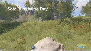 Rust Solo Wipe Day