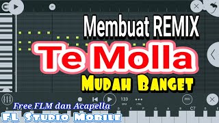 Download Lagu Membuat Remix TeMolla Sangat Mudah - FL Studio Mobile (FLM+Acapella) MP3 Download Lagu Membuat Remix TeMolla Sangat Mudah - FL Studio Mobile (FLM+Acapella) MP3