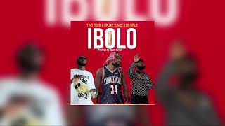 Two Tigers X Shallipopi - Ibolo ft Spurz Tunez x Sir Dr Afile (Official Visualizer)