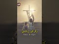 ولو ع جاي مطمن حالة واتس ترانيم حالات واتس  ترانيم مسيحيه حالات واتس