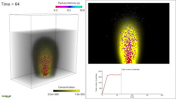 Gas Mass Dissolution Model | FLOW-3D HYDRO