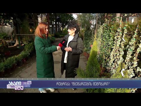 „ახალი დღის“ - რუბრიკა „მცენარეების მეგობარი“ - როგორ ვიზრუნოთ ექსტერიერის მცენარეებზე