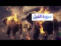 تفسير سورة الفيل مع الشيخ حسين عامر