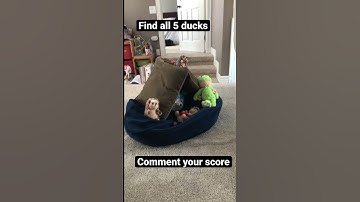 Find the ducks 20 #duck #rubberduck #rubberducky #findthedifference