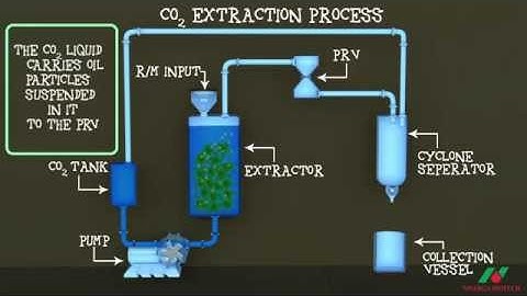 CO2 Extraction Technology