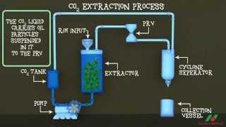 CO2 Extraction Technology
