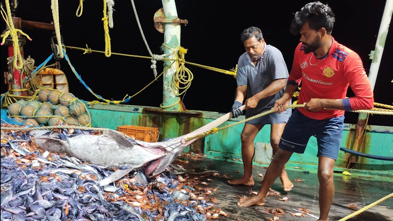 Day-3||Epic2‼️🤩 Unlimited Caughing In Lots Of Verity Fishes In Kerala Fishing💢💯 